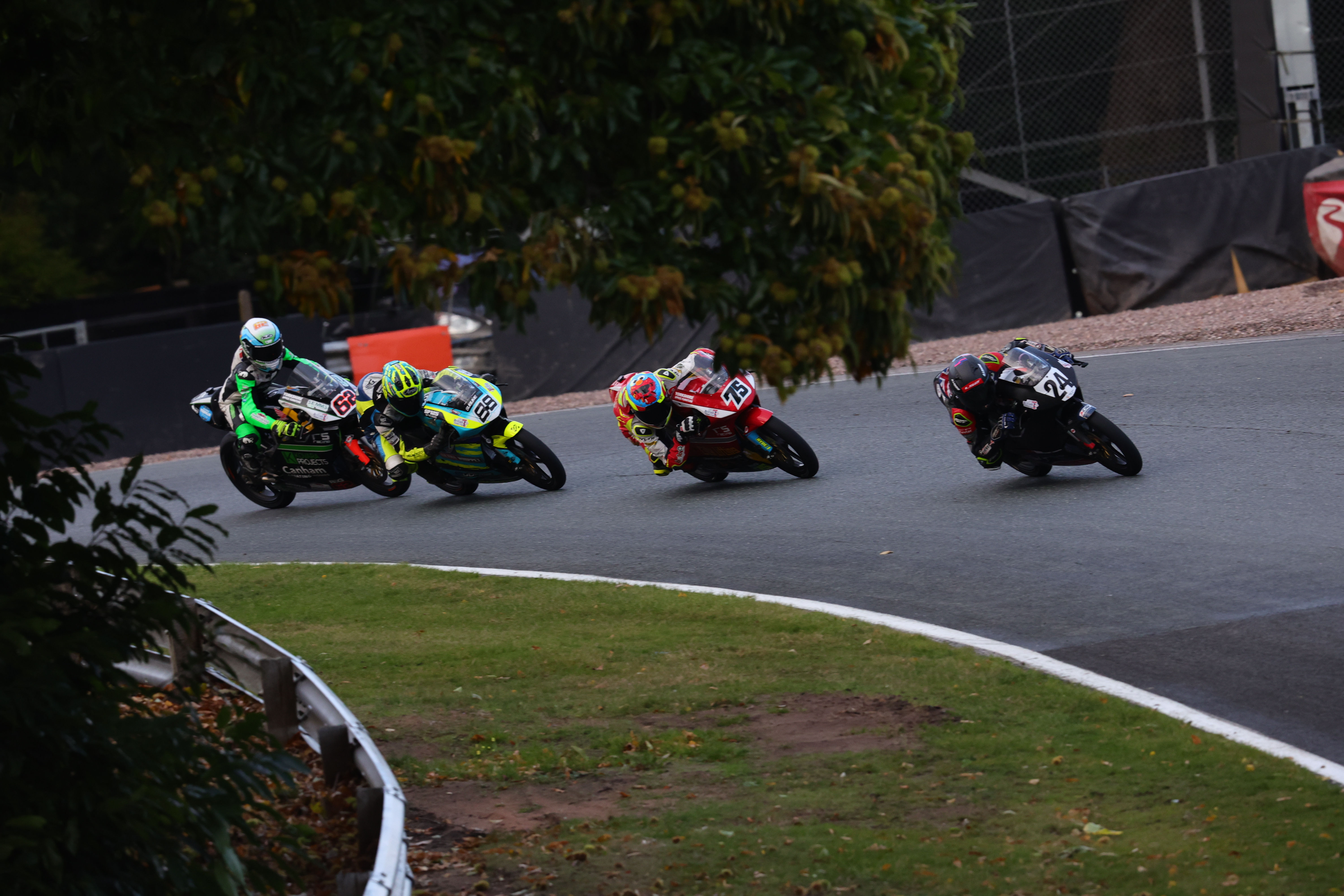 Round 8 Oulton Park Race 1