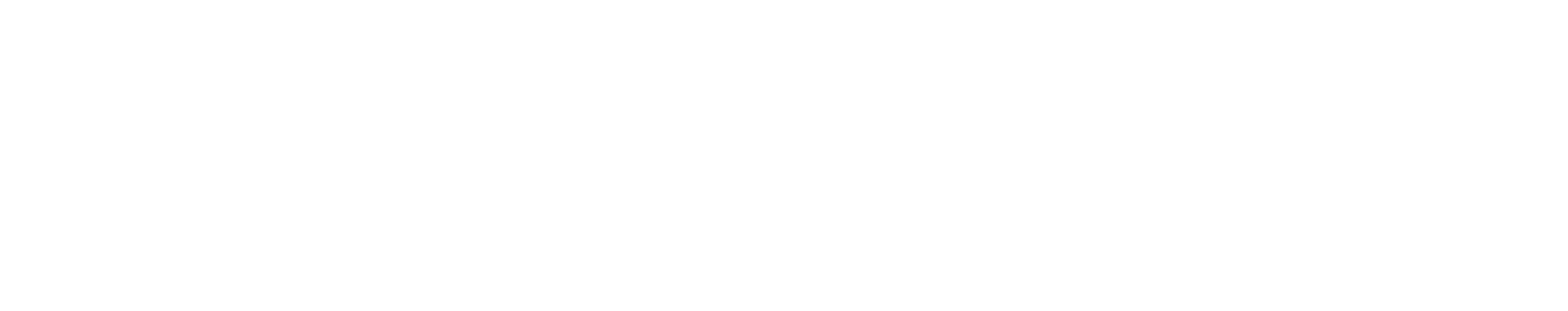 Road_to_MotoGP_Logo_RGB_White